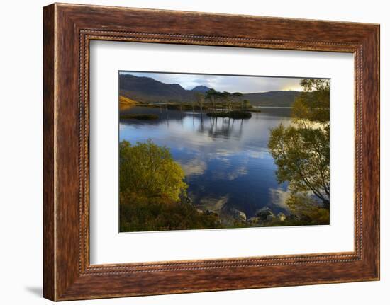 Evening Sunlight, Loch Assynt, National Nature Reserve, Sutherland, Highlands, Scotland, UK-Peter Richardson-Framed Photographic Print