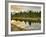 Evening Swim-Jason J. Hatfield-Framed Photographic Print