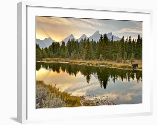 Evening Swim-Jason J. Hatfield-Framed Photographic Print