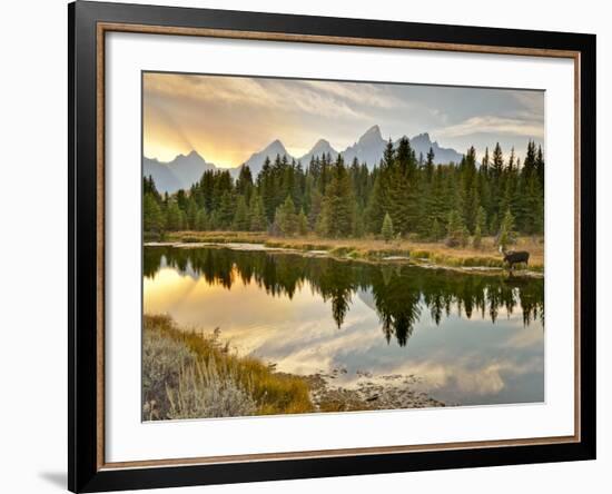 Evening Swim-Jason J. Hatfield-Framed Photographic Print