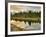 Evening Swim-Jason J. Hatfield-Framed Photographic Print