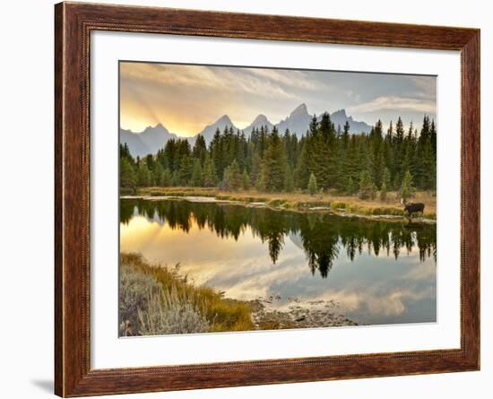 Evening Swim-Jason J. Hatfield-Framed Photographic Print