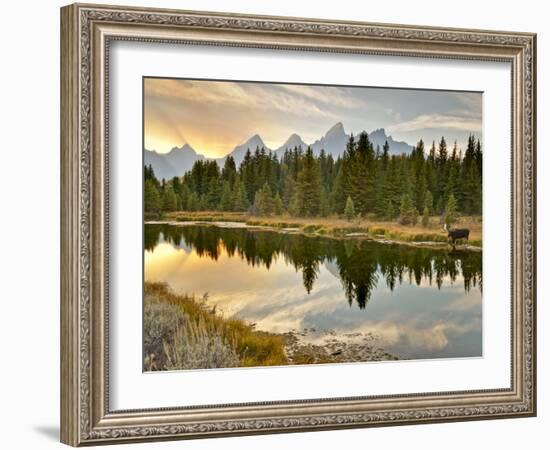 Evening Swim-Jason J. Hatfield-Framed Photographic Print