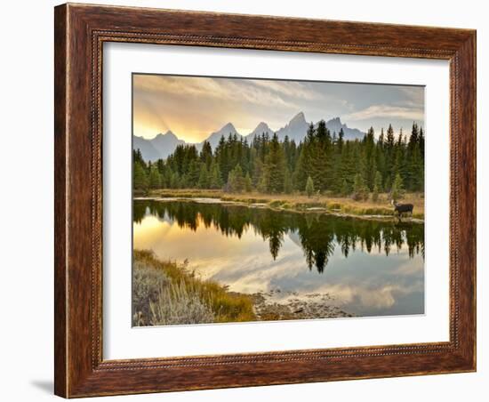 Evening Swim-Jason J. Hatfield-Framed Photographic Print