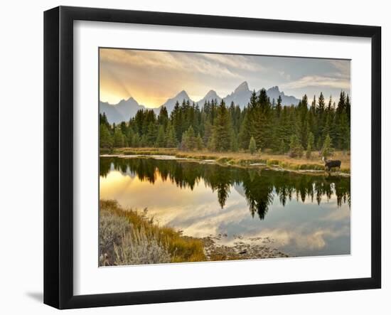 Evening Swim-Jason J. Hatfield-Framed Photographic Print