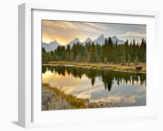 Evening Swim-Jason J. Hatfield-Framed Photographic Print