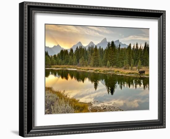 Evening Swim-Jason J. Hatfield-Framed Photographic Print