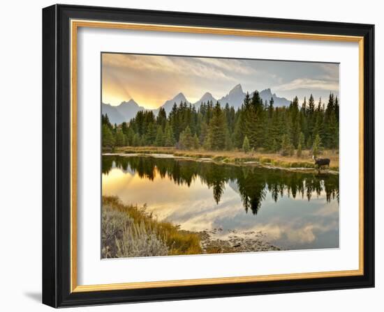 Evening Swim-Jason J. Hatfield-Framed Photographic Print