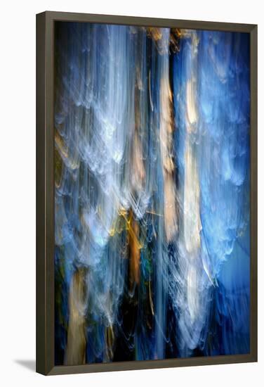 Evening Trees 1-Ursula Abresch-Framed Premier Image Canvas