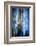 Evening Trees 1-Ursula Abresch-Framed Photographic Print