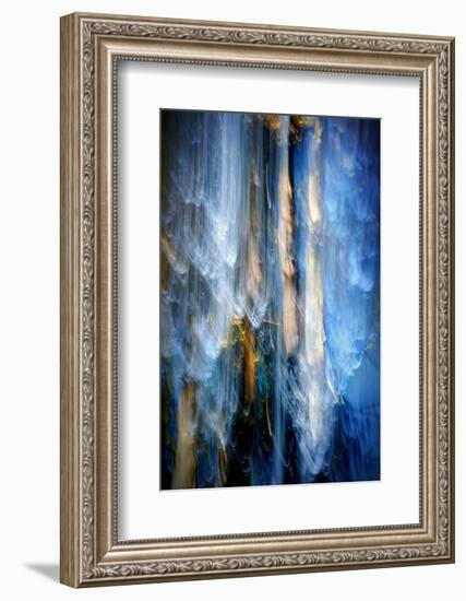 Evening Trees 1-Ursula Abresch-Framed Photographic Print