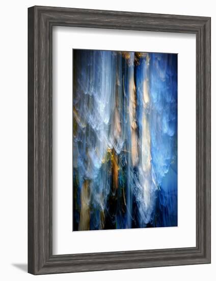 Evening Trees 1-Ursula Abresch-Framed Photographic Print