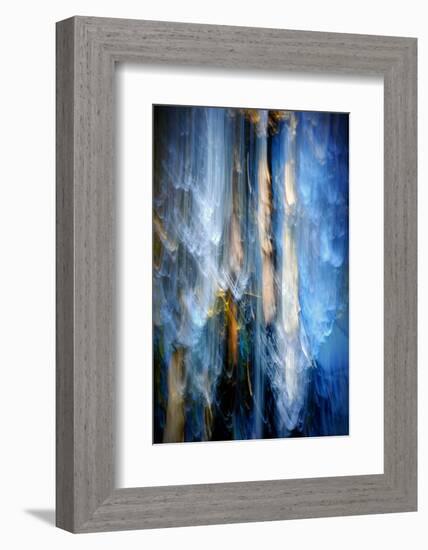 Evening Trees 1-Ursula Abresch-Framed Photographic Print