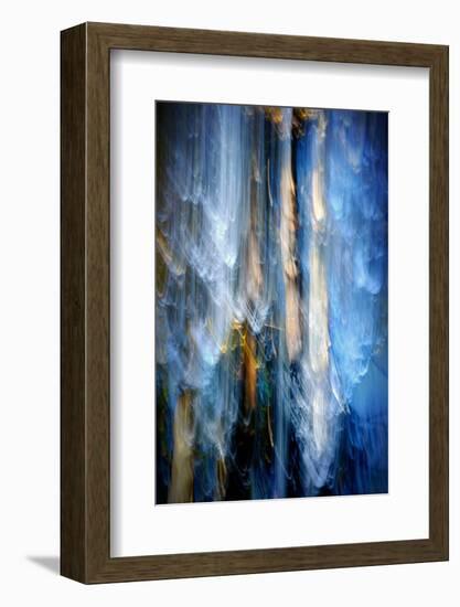 Evening Trees 1-Ursula Abresch-Framed Photographic Print