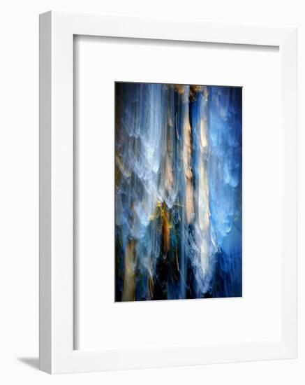 Evening Trees 1-Ursula Abresch-Framed Photographic Print