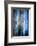 Evening Trees 1-Ursula Abresch-Framed Photographic Print