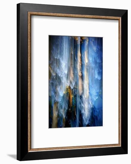 Evening Trees 1-Ursula Abresch-Framed Photographic Print