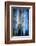 Evening Trees 1-Ursula Abresch-Framed Photographic Print