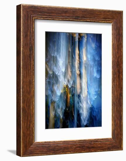 Evening Trees 1-Ursula Abresch-Framed Photographic Print