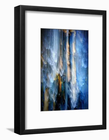 Evening Trees 1-Ursula Abresch-Framed Photographic Print