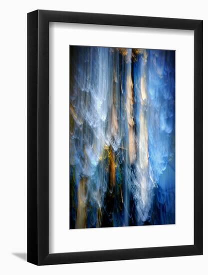 Evening Trees 1-Ursula Abresch-Framed Photographic Print