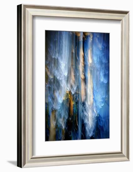 Evening Trees 1-Ursula Abresch-Framed Photographic Print