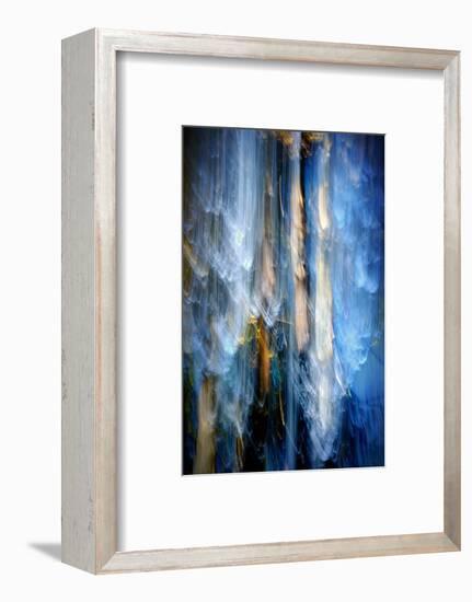 Evening Trees 1-Ursula Abresch-Framed Photographic Print