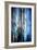 Evening Trees 1-Ursula Abresch-Framed Photographic Print