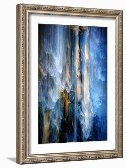 Evening Trees 1-Ursula Abresch-Framed Photographic Print