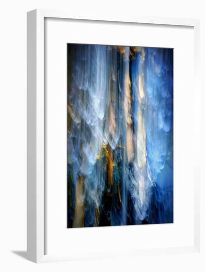 Evening Trees 1-Ursula Abresch-Framed Photographic Print