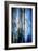 Evening Trees 1-Ursula Abresch-Framed Photographic Print