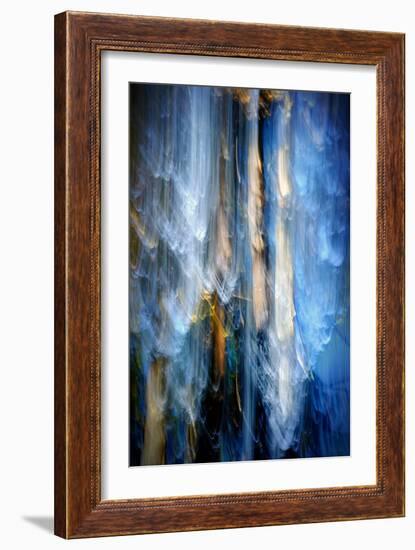 Evening Trees 1-Ursula Abresch-Framed Premium Photographic Print