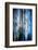 Evening Trees 1-Ursula Abresch-Framed Premium Photographic Print