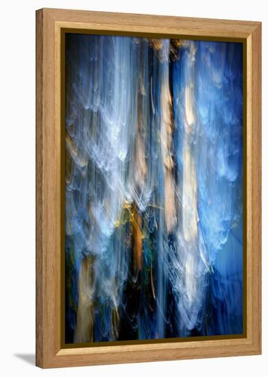 Evening Trees 1-Ursula Abresch-Framed Premier Image Canvas