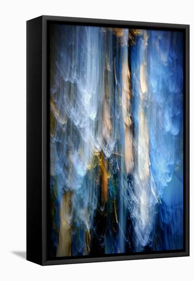 Evening Trees 1-Ursula Abresch-Framed Premier Image Canvas