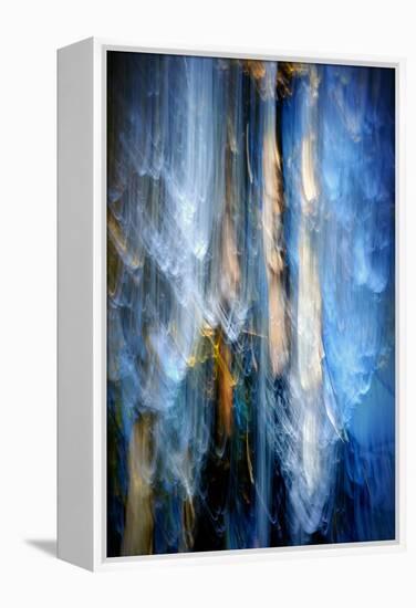 Evening Trees 1-Ursula Abresch-Framed Premier Image Canvas