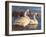 Evening Tundras-Chuck Black-Framed Giclee Print