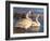 Evening Tundras-Chuck Black-Framed Giclee Print