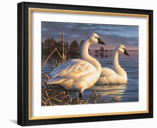 Evening Tundras-Chuck Black-Framed Giclee Print