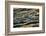 Evening Water Series #1-Ursula Abresch-Framed Photographic Print