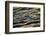 Evening Water Series #1-Ursula Abresch-Framed Photographic Print