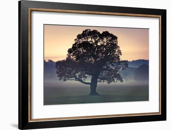 Evening Wisdom-Assaf Frank-Framed Giclee Print