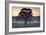 Evening Wisdom-Assaf Frank-Framed Giclee Print