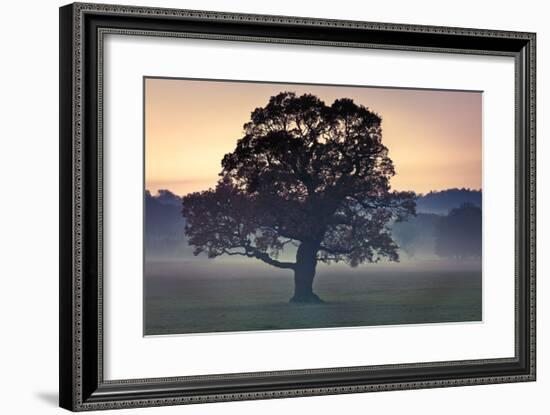 Evening Wisdom-Assaf Frank-Framed Giclee Print