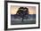 Evening Wisdom-Assaf Frank-Framed Giclee Print