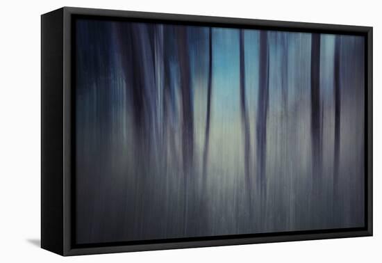 Evening Woods-Ursula Abresch-Framed Premier Image Canvas