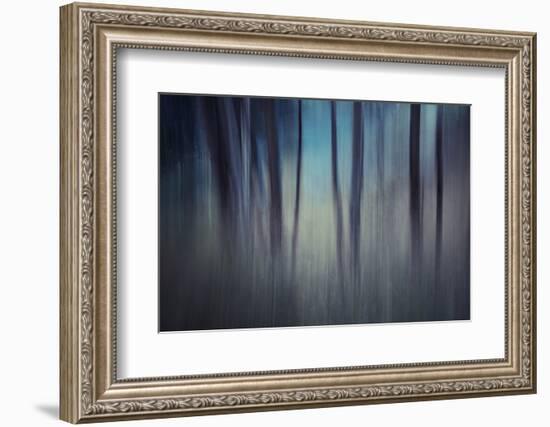 Evening Woods-Ursula Abresch-Framed Photographic Print