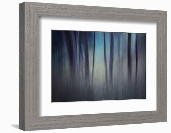 Evening Woods-Ursula Abresch-Framed Photographic Print