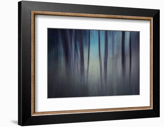 Evening Woods-Ursula Abresch-Framed Photographic Print