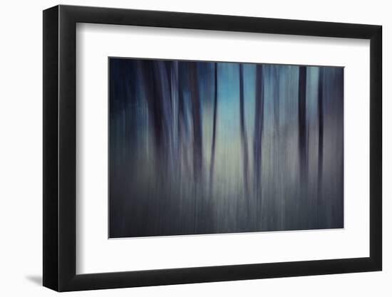 Evening Woods-Ursula Abresch-Framed Photographic Print